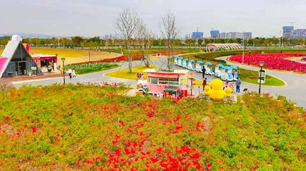 滨海湾花海里第 1 张图片
