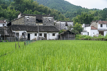 庆源古村第 27 张图片