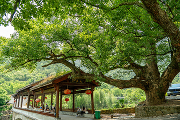 马岭古道第 2 张图片