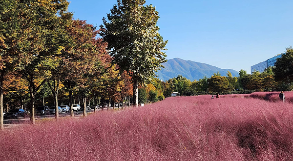 Misari Speedboat Park