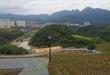 大圣墩·映美湖景区第 13 张图片