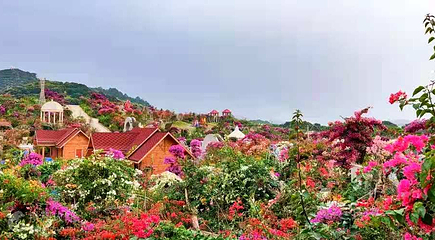 粤龙山风景区第 6 张图片