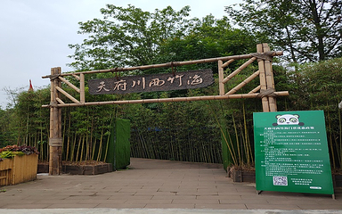 川西竹海景区第 41 张图片