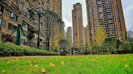 花果园湿地公园滨水广场第 1 张图片