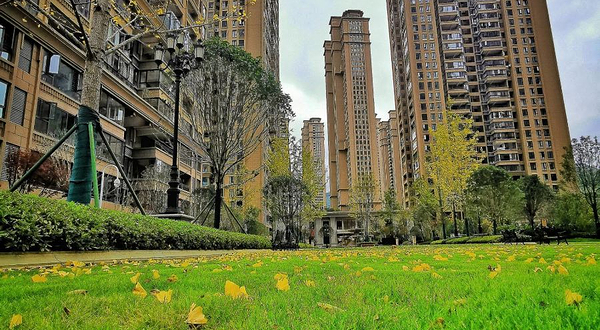 花果园湿地公园滨水广场