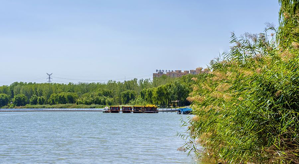 减河国家湿地公园