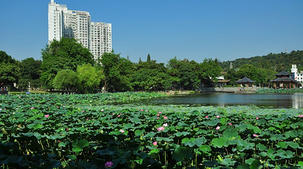 莲花湖公园第 1 张图片