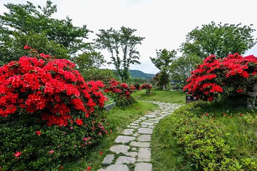 赛石·花朝园第 5 张图片