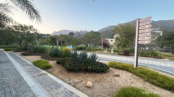 东涌红树林湿地园