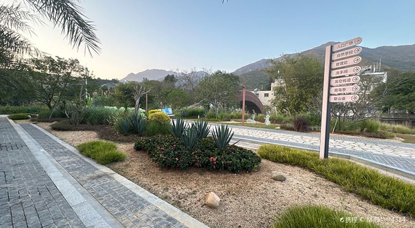 东涌红树林湿地园