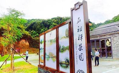 石祖禅茶园第 1 张图片