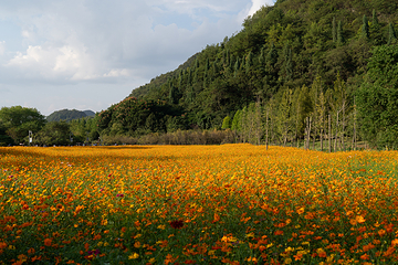花溪十里河滩旅游度假区第 8 张图片
