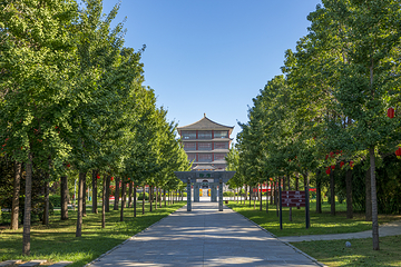 陈家沟第 4 张图片