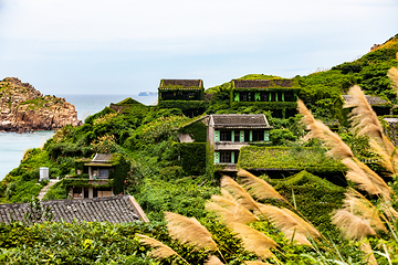 嵊山无人村第 5 张图片