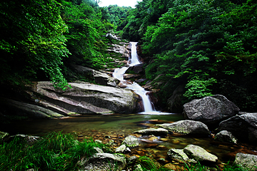 萍乡武功山云顶景区第 4 张图片