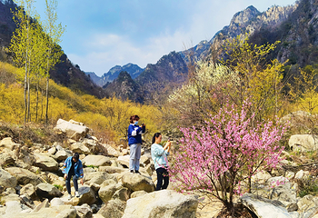 老界岭旅游度假区第 55 张图片