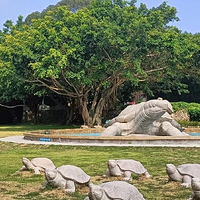 黄花山国家森林公园