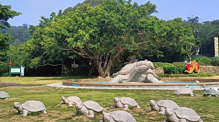 黄花山国家森林公园第 1 张图片