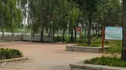 山东邹城太平国家湿地公园第 3 张图片