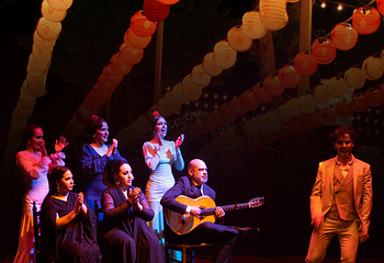 塞维利亚Teatro Flamenco Sevilla弗拉明戈剧院第 5 张图片