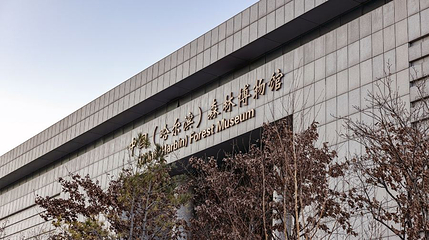 中国哈尔滨森林博物馆第 1 张图片