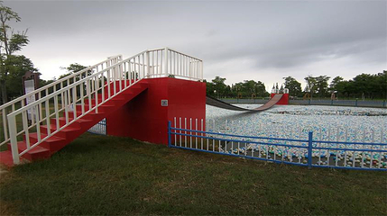 崇明荷花博览园第 47 张图片