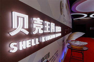 贝壳王国第 20 张图片
