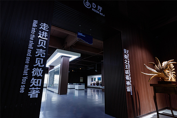 贝壳王国第 15 张图片