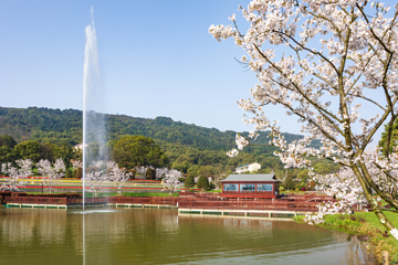 岳阳花语世界第 8 张图片