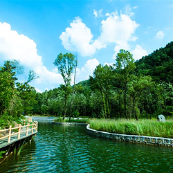 燕子山原始生态旅游风景区