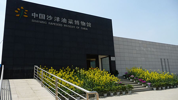 沙洋油菜博物馆