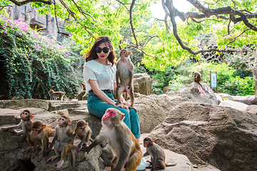 南湾猴岛生态旅游区第 21 张图片