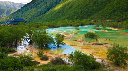 黄龙国家重点风景名胜区-原始森林第 1 张图片