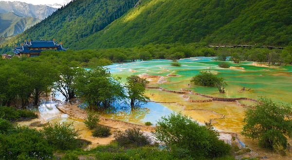黄龙国家重点风景名胜区-原始森林