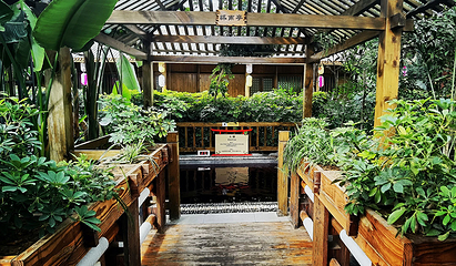 颐园温泉第 26 张图片