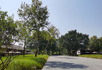 广阳岛第 10 张图片