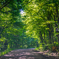 迪利扬国家公园