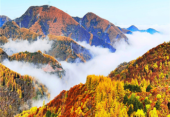 六盘山红军长征旅游区第 11 张图片
