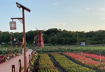 惠来滨荷湾旅游景区第 6 张图片