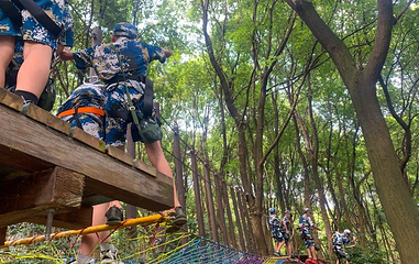 庐山·鄱湖湾魔幻森林第 2 张图片