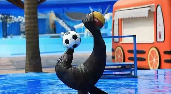 汉唐水世界温泉洗浴水乐园