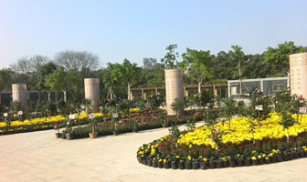 南宁市五象湖公园-百色园