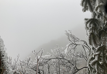皇后山生态旅游度假区第 45 张图片