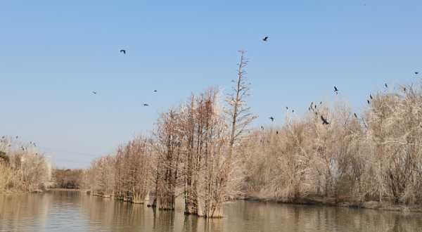 孝感朱湖国家湿地公园