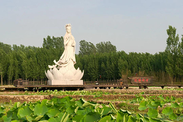 诗经故里第 5 张图片