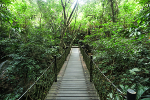 雨林谷景区