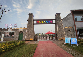 半亩花田露营地(贾堌堆农家寨景区店)第 3 张图片