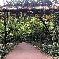 兴隆热带植物园