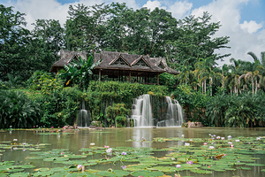 中国科学院西双版纳热带植物园