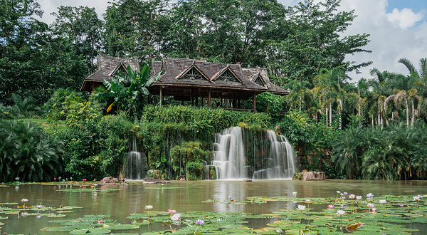 中国科学院西双版纳热带植物园